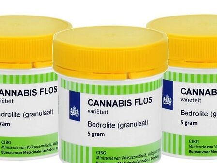 Bedrolite: la cannabis ad alto contenuto di CBD