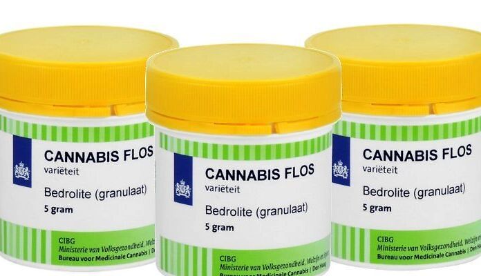 Bedrolite: la cannabis ad alto contenuto di CBD