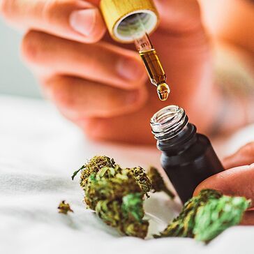 Cannabis e cancro: il più grande studio di sempre conferma le potenzialità antitumorali