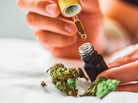 Cannabis e cancro: il più grande studio di sempre conferma le potenzialità antitumorali