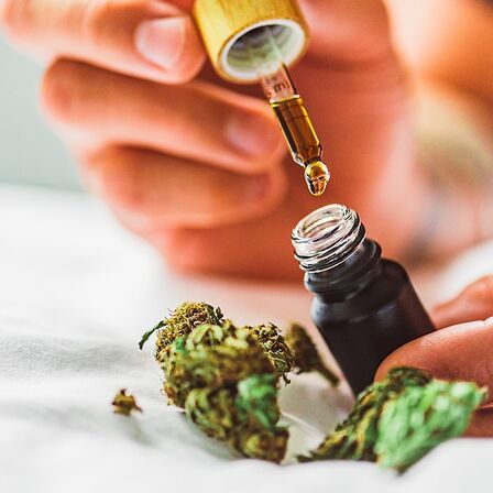 Cannabis e cancro: il più grande studio di sempre conferma le potenzialità antitumorali