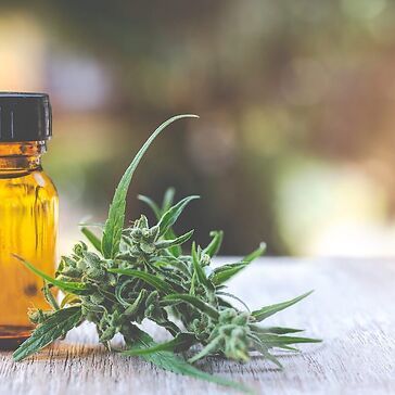 Estratti di cannabis industriali: il punto di vista del farmacista galenista