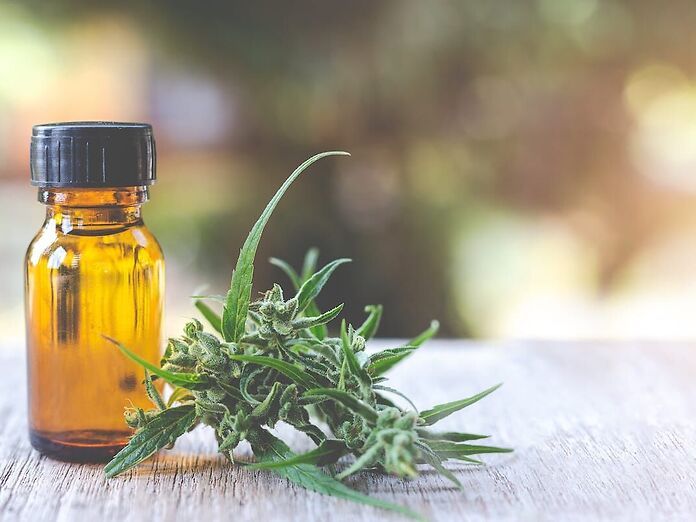 Estratti di cannabis industriali: il punto di vista del farmacista galenista