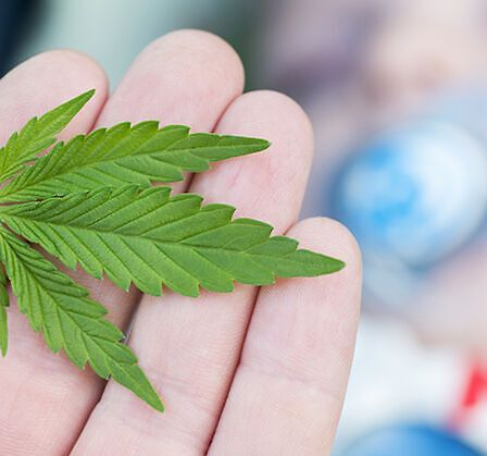 La cannabis medica nell&amp;#039;insonnia in età pediatrica