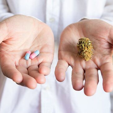 Cannabis vs farmaci tradizionali: qual è il futuro della terapia del dolore?