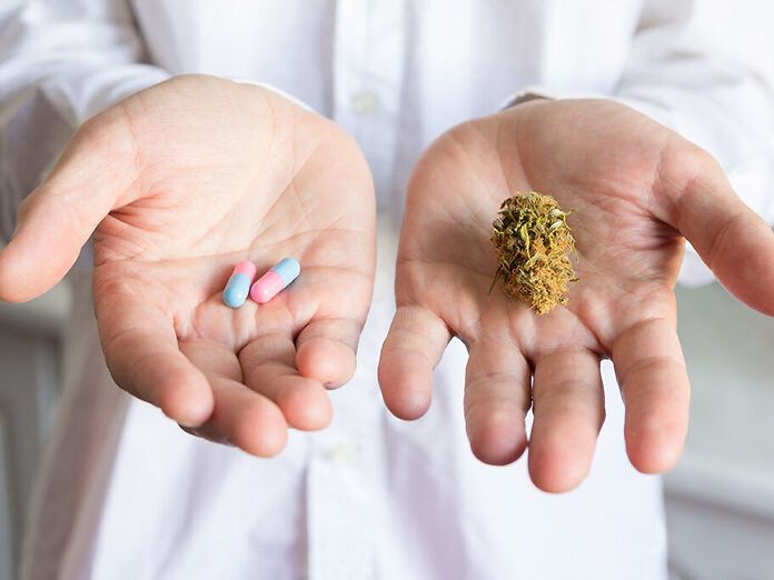 Cannabis vs farmaci tradizionali: qual è il futuro della terapia del dolore?