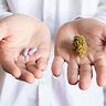 Cannabis vs farmaci tradizionali: qual è il futuro della terapia del dolore?
