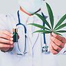 Cannabis terapeutica: i pazienti riportano miglioramenti durevoli nella qualità della vita