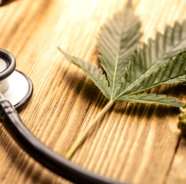 Un anno di cannabis medica: miglioramenti sostenuti per pazienti con condizioni croniche
