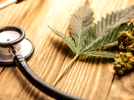 Un anno di cannabis medica: miglioramenti sostenuti per pazienti con condizioni croniche
