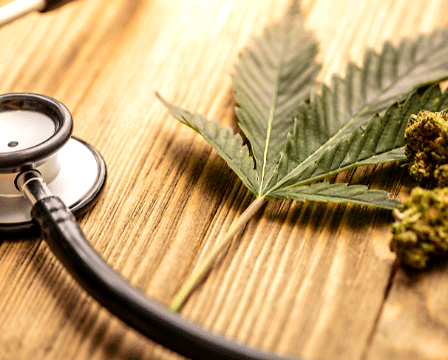 Un anno di cannabis medica: miglioramenti sostenuti per pazienti con condizioni croniche