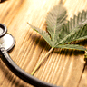 Un anno di cannabis medica: miglioramenti sostenuti per pazienti con condizioni croniche
