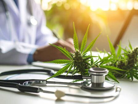 Cannabis terapeutica, una risposta possibile al dolore che non passa