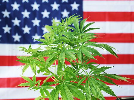 Trump firma l’ordine per la riclassificazione della cannabis negli USA: svolta per medicina e ricerca