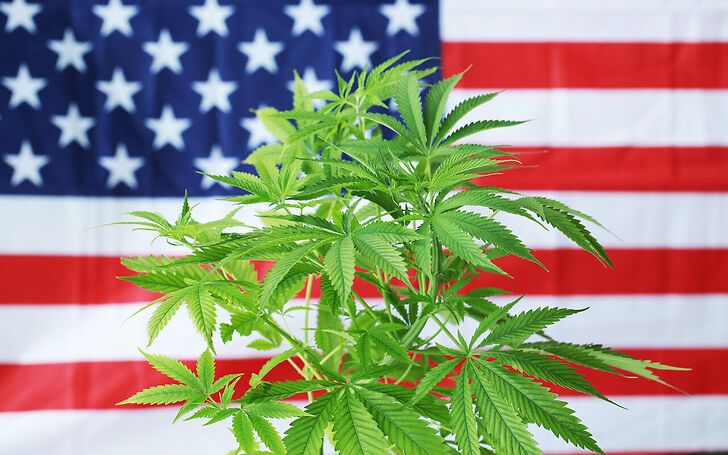 Trump firma l’ordine per la riclassificazione della cannabis negli USA: svolta per medicina e ricerca