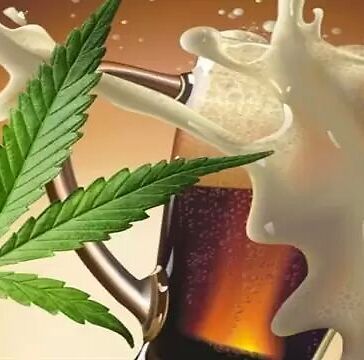 Il CBD per trattare la dipendenza da alcol