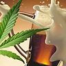 Il CBD per trattare la dipendenza da alcol