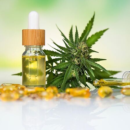 Trump rilancia il CBD: dalla salute degli anziani al dibattito politico sulla cannabis terapeutica