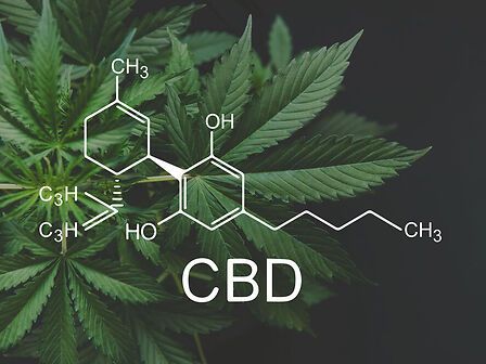 CBD e capacità riproduttiva: cosa c’è nel dossier ECHA e perché è importante