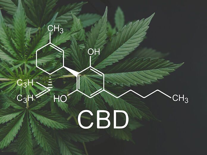 CBD e capacità riproduttiva: cosa c’è nel dossier ECHA e perché è importante