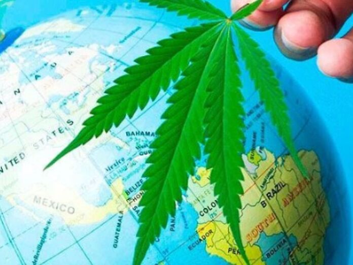Cannabis terapeutica in Italia: il servizio Clinn per turisti e pazienti stranieri