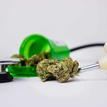 Dolore cronico: la cannabis per migliorare la qualità della vita