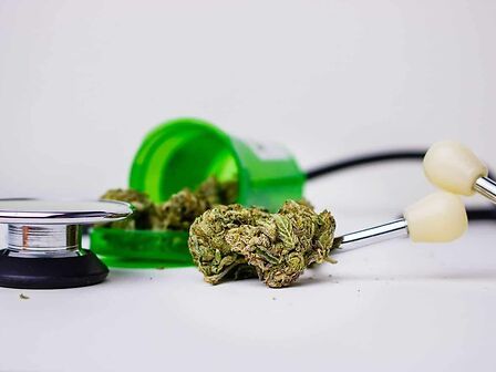 Dolore cronico: la cannabis per migliorare la qualità della vita