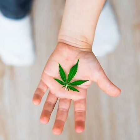 Epilessia farmacoresistente: il CBD riduce le crisi e aumenta la qualità della vita