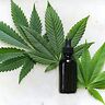 Lombardia ed Emilia Romagna: ok alla rimborsabilità dei nuovi estratti a base di cannabis