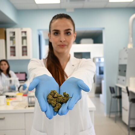 Cannabis in farmacia: le risposte alle domande dei pazienti