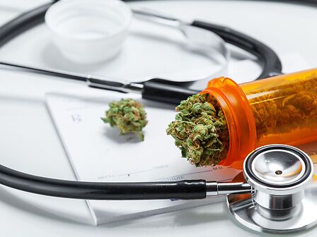 Francia: ok alla cannabis medica, ma senza infiorescenze