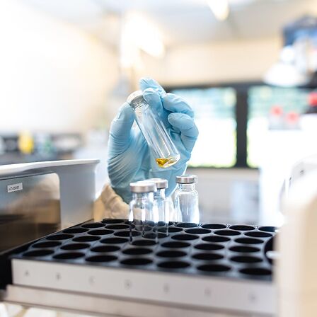Materia Medica: la prima officina farmaceutica italiana focalizzata interamente sulla cannabis