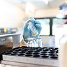 Materia Medica: la prima officina farmaceutica italiana focalizzata interamente sulla cannabis
