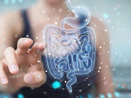 Cannabis e microbiota: una nuova connessione tra intestino, cervello e sistema endocannabinoide