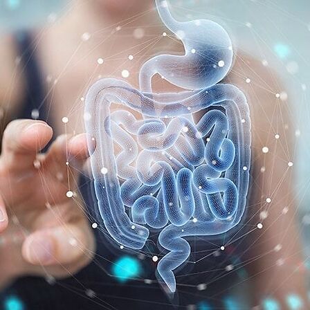 Cannabis e microbiota: una nuova connessione tra intestino, cervello e sistema endocannabinoide