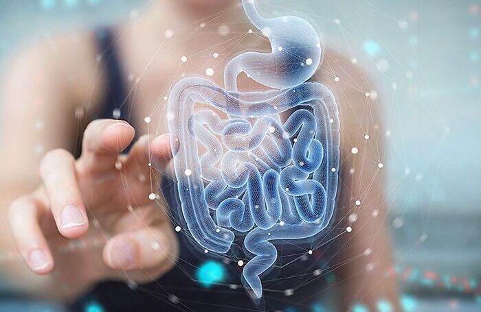 Cannabis e microbiota: una nuova connessione tra intestino, cervello e sistema endocannabinoide