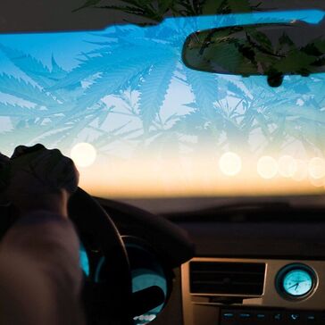 Codice della strada: una tessera digitale per i pazienti cannabis?