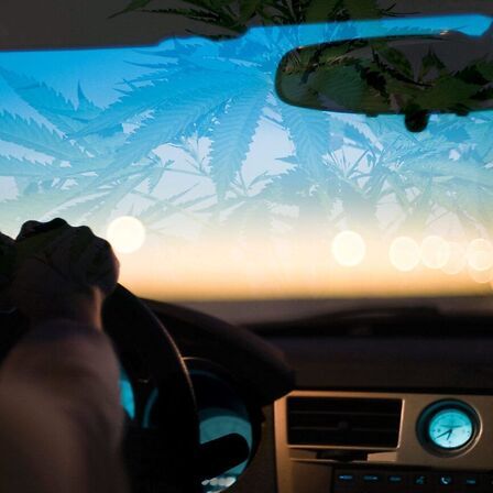 Codice della strada: una tessera digitale per i pazienti cannabis?