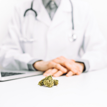 Come farsi prescrivere la cannabis terapeutica