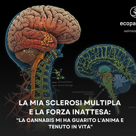 La mia sclerosi multipla e la forza inattesa: &amp;quot;La cannabis mi ha guarito l&amp;#039;anima e tenuto in vita&amp;quot;