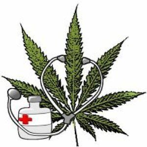 La Francia autorizza la cannabis terapeutica