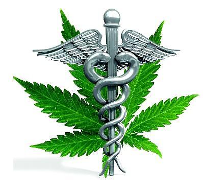 Cannabis e cancro: vecchie e nuove conferme scientifiche