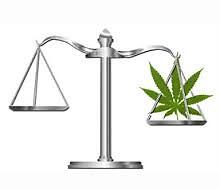 Cannabis terapeutica in Liguria approvata dopo i consigli della Corte Costituzionale