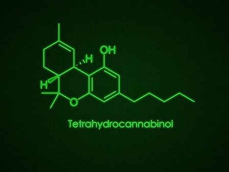 Il THC può proteggere il cervello dai danni cerebrali e aiutare a prevenirli