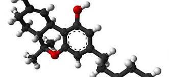 Il THC blocca infiammazioni e sanguinamento dello stomaco causati da antidolorifici come il diclofenac