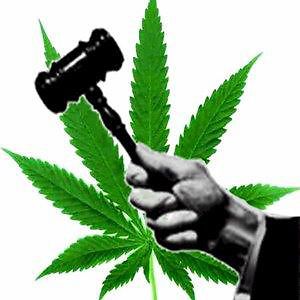 La proposta di legge per la cannabis terapeutica