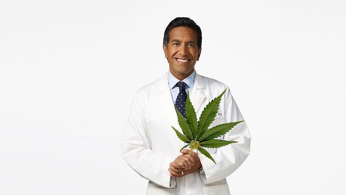 Il passo indietro di un famoso neurochirurgo americano: &quot;Ho sbagliato, la cannabis terapeutica fa bene&quot;