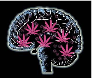Cannabis per la mente: secondo un recente studio il farmaco potrebbe essere usato per trattare la depressione