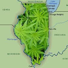 L&#039;Illinois è il 20esimo stato americano a legalizzare la cannabis terapeutica