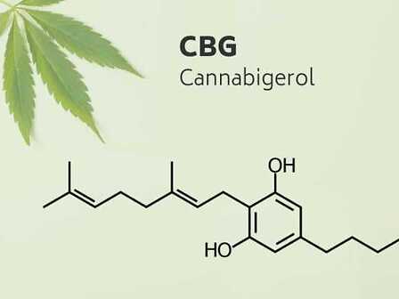 Cannabigerolo (CBG): tanto importante quanto sconosciuto